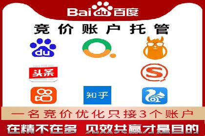 提升关键词竞价排名转化率：经典案例解析